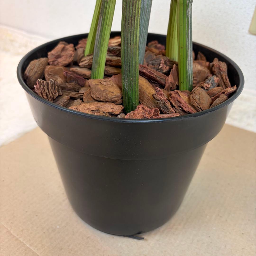 送料無料 フェイクグリーン 人工観葉植物 光触媒 150cm ポトス