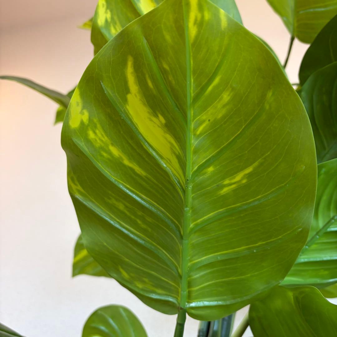 送料無料 フェイクグリーン 人工観葉植物 光触媒 150cm ポトス