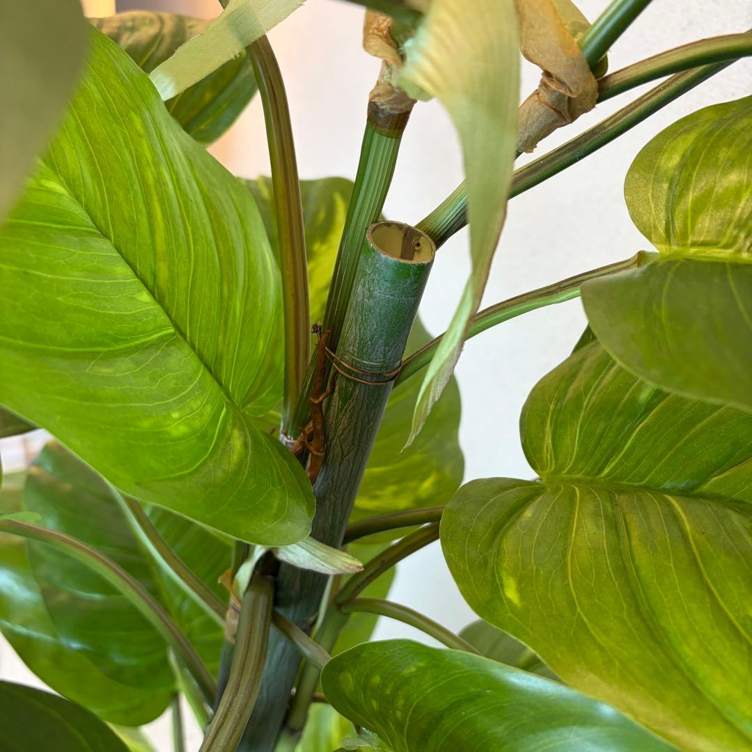 送料無料 フェイクグリーン 人工観葉植物 光触媒 150cm ポトス