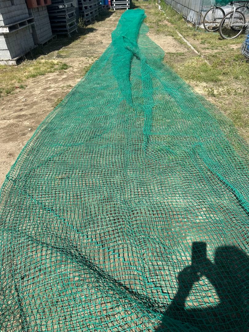 防球ネット 防鳥ネット4m×16m 目合い2.5cmメッシュ　縁無し