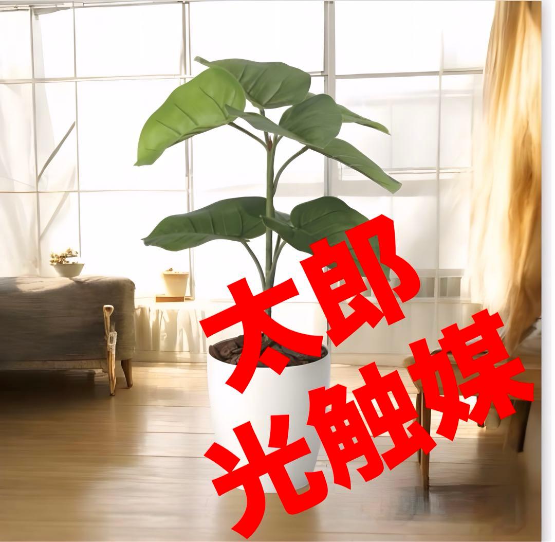 光触媒　人工観葉植物　フェイクグリーン　フレッシュウンベラータ60