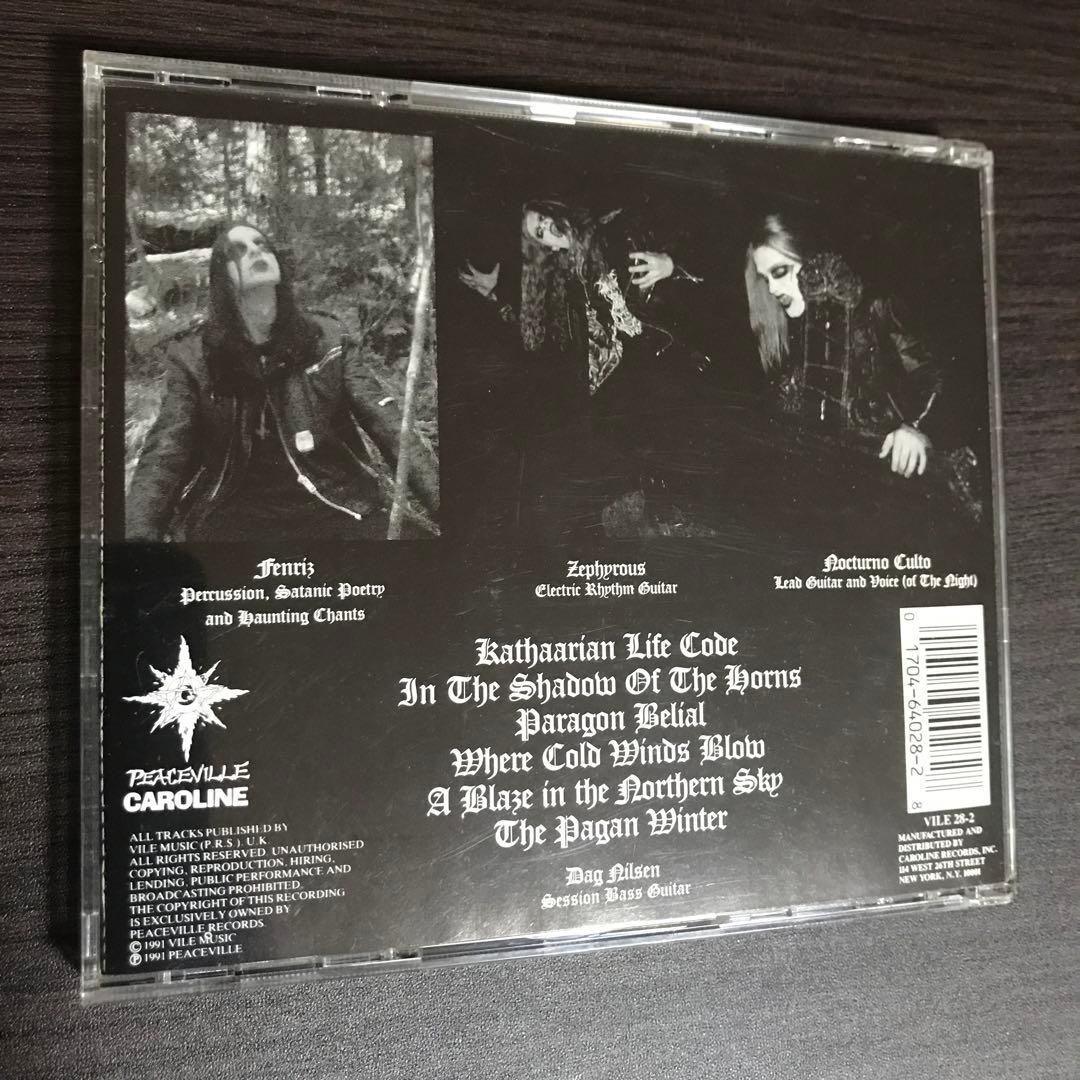 洋楽 Dark throne / a blaze in the northern sk
