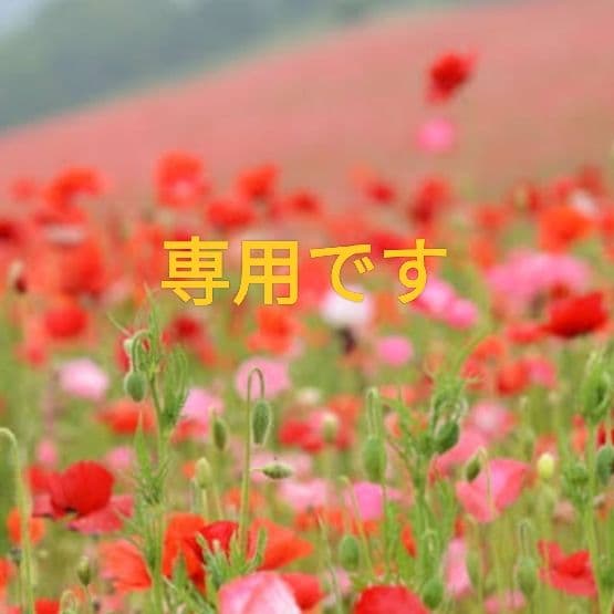 nさま専用【美しいヌメ革】　マネークリップ　本革　バイソン　ミニマル