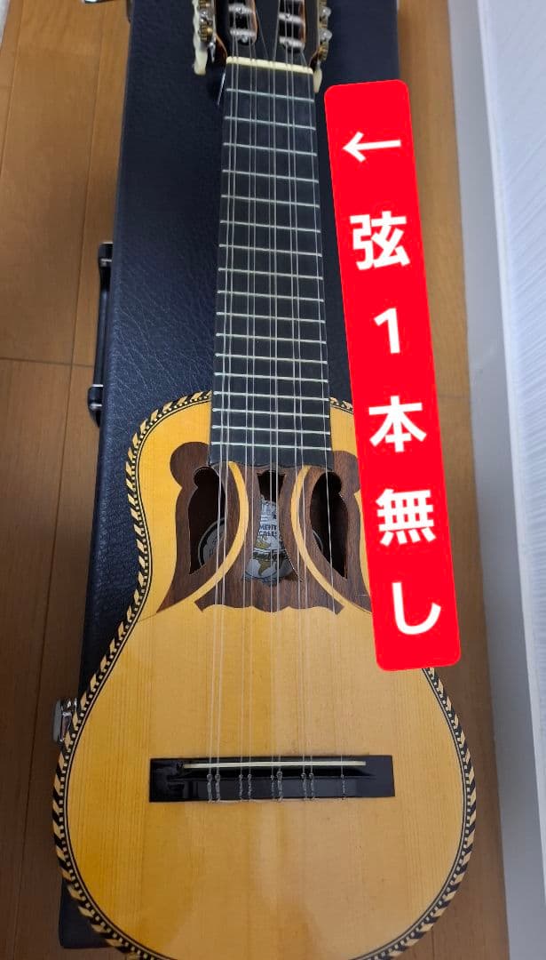 チャランゴ ガンボア　ハードケース付き