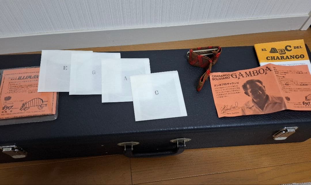 チャランゴ ガンボア　ハードケース付き