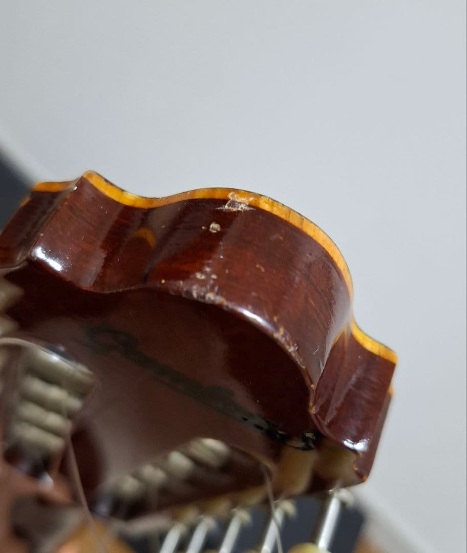 チャランゴ ガンボア　ハードケース付き