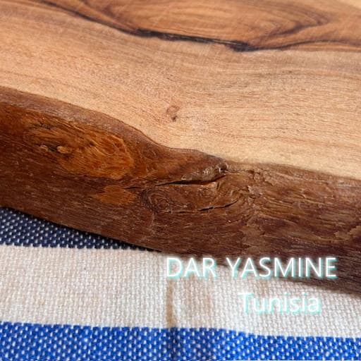 オリーブの木 個性あふれる１点もの　超特大フリーカット　潔く愚直に生きる姿