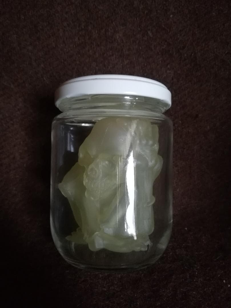 FEWTURE MODELS JAR OF PUS（スケルトン） PUSHEAD