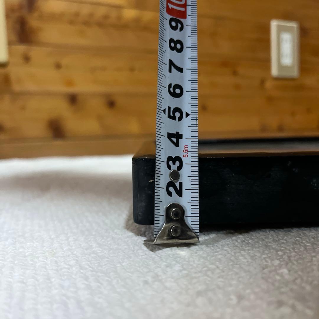 レトロ　モルフォ蝶他標本