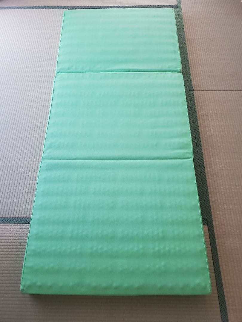 ヘルスウェーブゴールドDCバージョン ジュニアサイズ　専用シーツ付