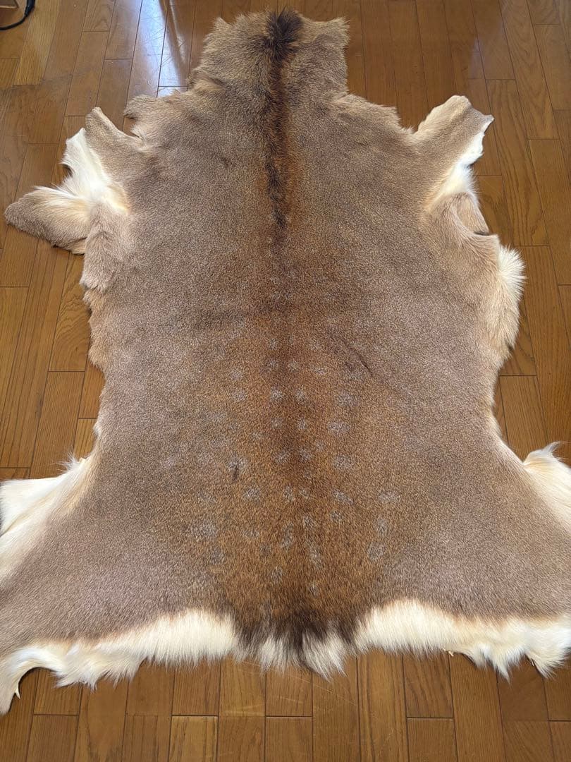 蝦夷鹿毛皮ラグ　天然　バンビ
