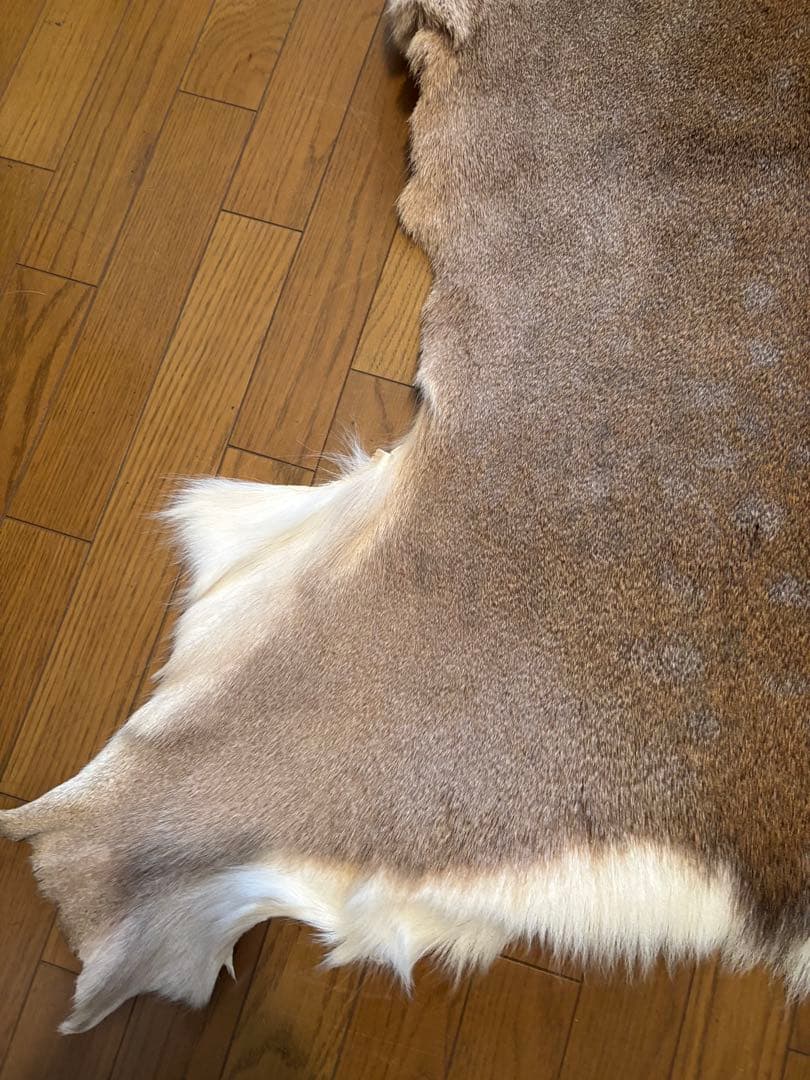 蝦夷鹿毛皮ラグ　天然　バンビ