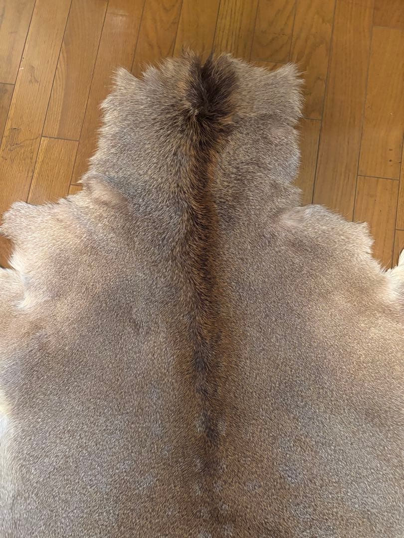 蝦夷鹿毛皮ラグ　天然　バンビ