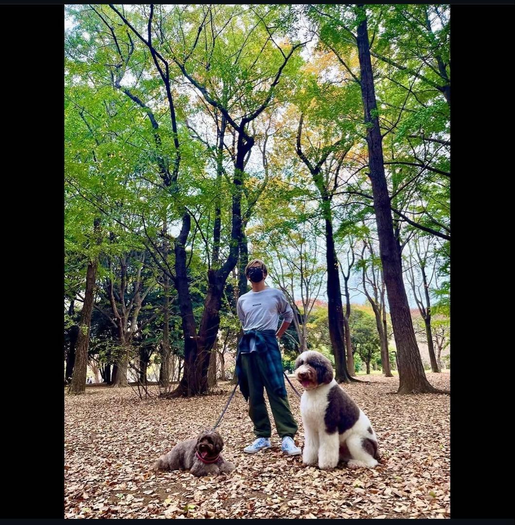 極Subculture WOOLCHECKSHIRTGREENサイズ2キムタク