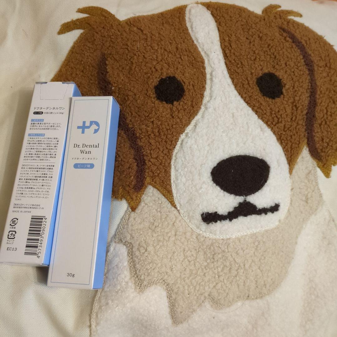 Dr. Dental Wan ビーフ味 30g