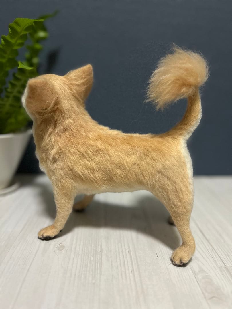 羊毛フェルト　チワワ　サマーカット