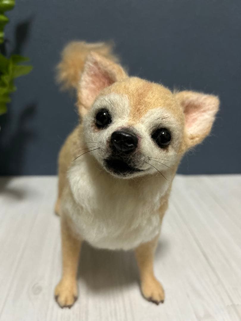 羊毛フェルト　チワワ　サマーカット
