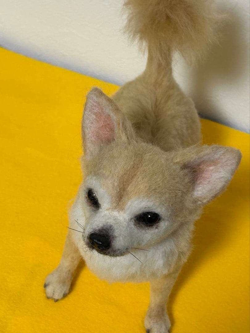 羊毛フェルト　チワワ　サマーカット