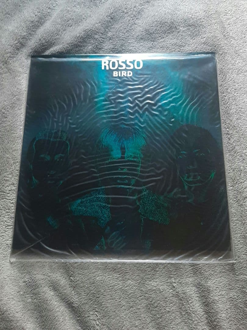 y*k様 希少品　ROSSO BIRD 2枚組　レコード 　チバユウスケ