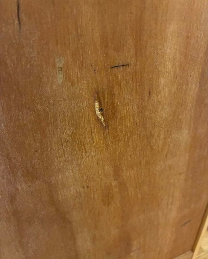 松太郎定価12万 graf × scope / messy メッシー