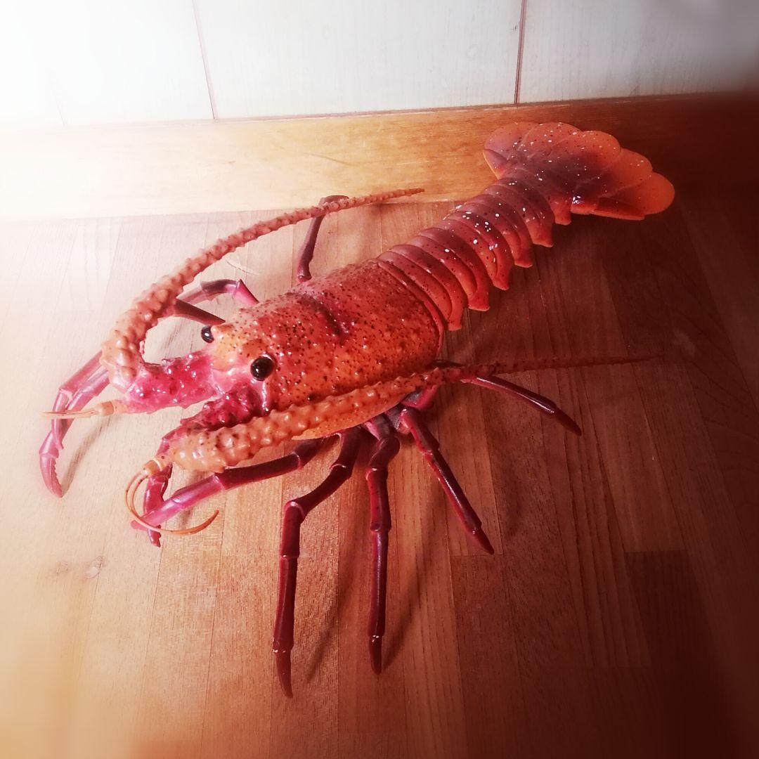 ☆実物大☆伊勢海老の置物 店舗用やインテリア、コスプレアイテムに♪
