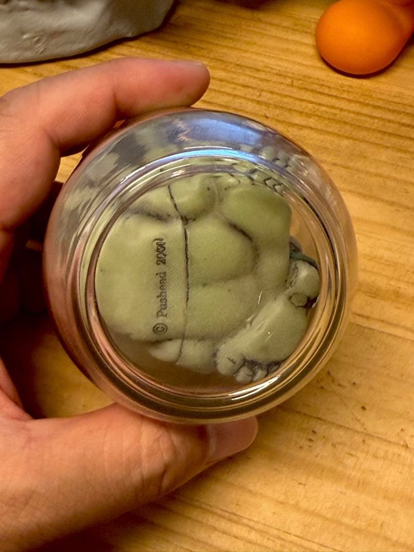 FEWTURE MODELS JAR OF PUS（蓄光） PUSHEAD