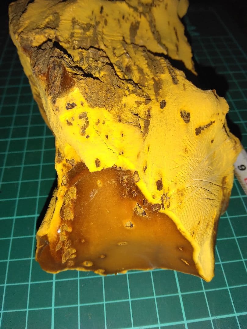 珪化木？産地不明　内部鉱物化　鉱物標本　不思議な石　オパール化？