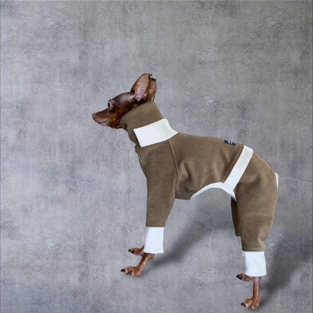 ⑪コーデュロイ イン パリ