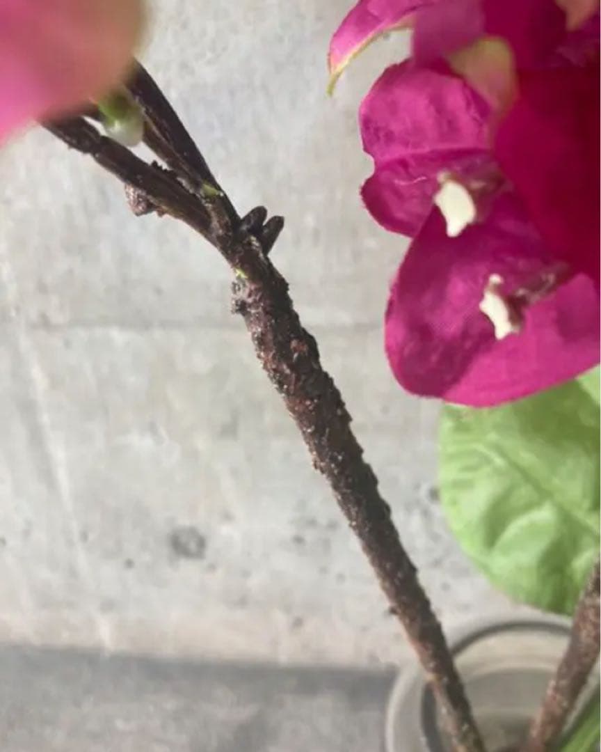 光触媒　人工観葉植物　ウォールグリーン　フェイク　フラワー　ブーゲンビリアv