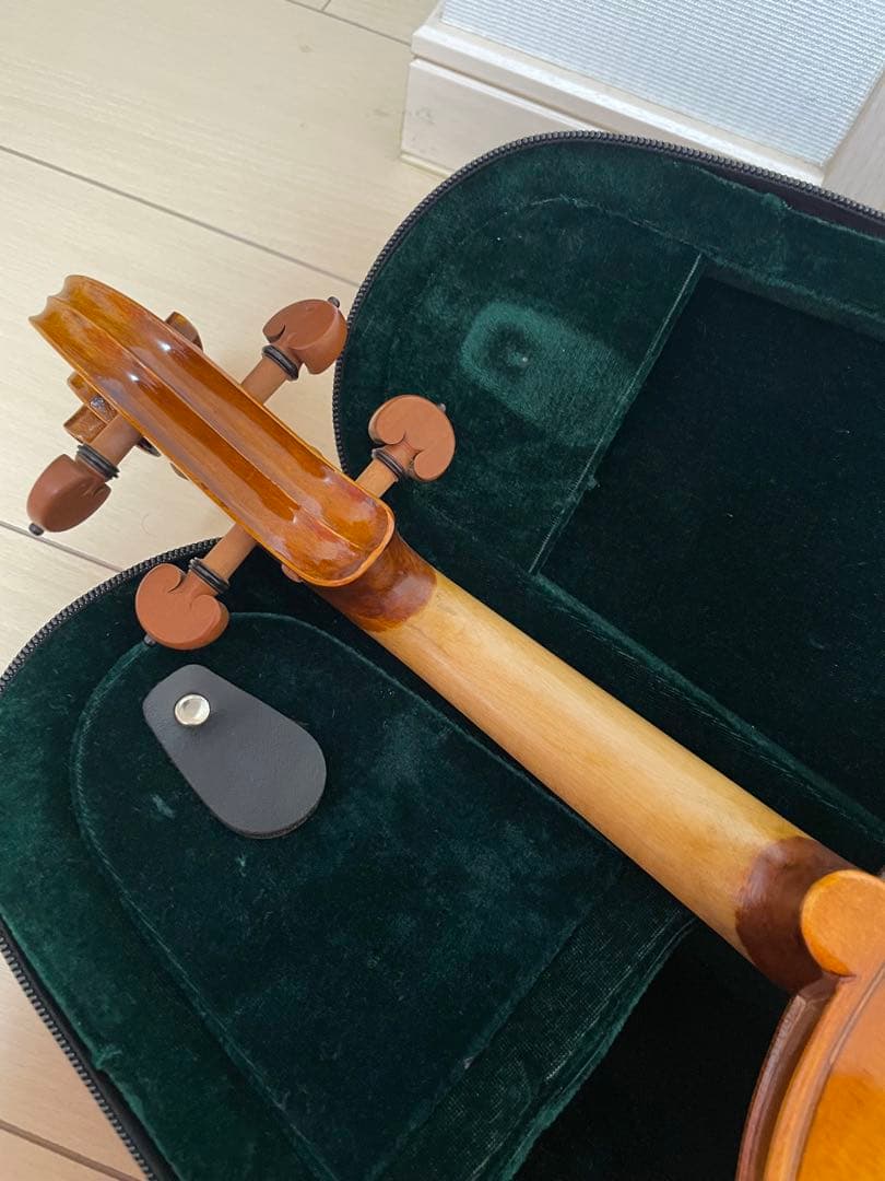 弦楽器 CARLO GIORDANO VS-2 4/4