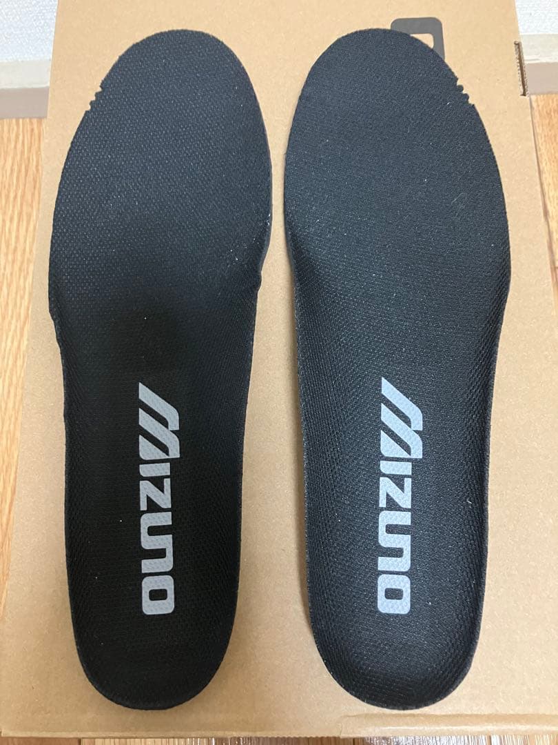 靴 MIZUNO WAVE PROPHECY LS GTX