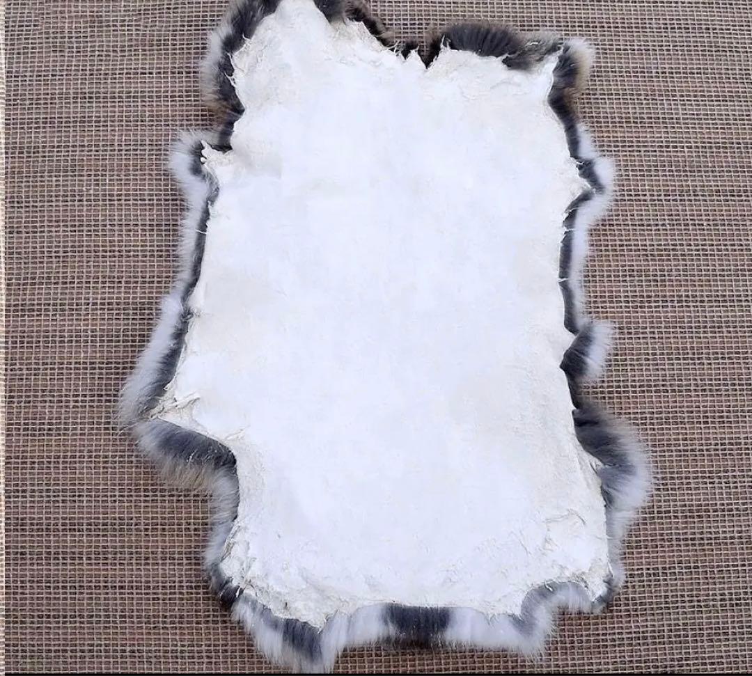 ラパンウサギ毛皮グレー系ベージュ台座に5枚