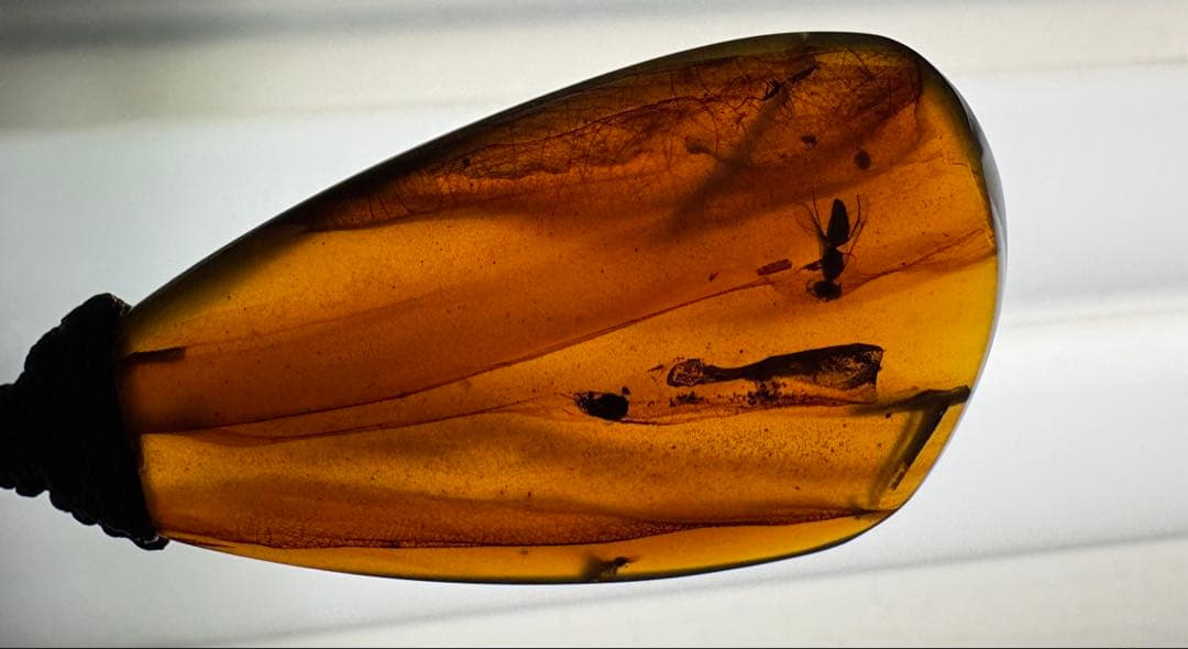 琥珀アクセサリー　大サイズ