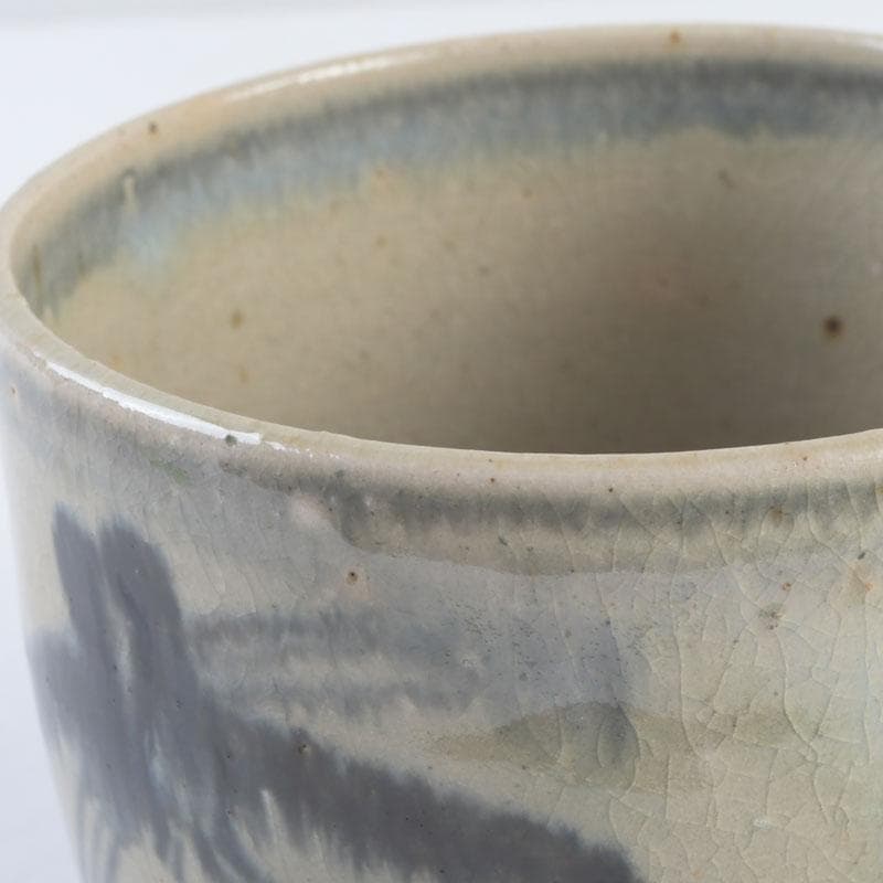 中国　呉須染付　花草昆虫文　茶碗　仕覆・時代箱付　C　9454