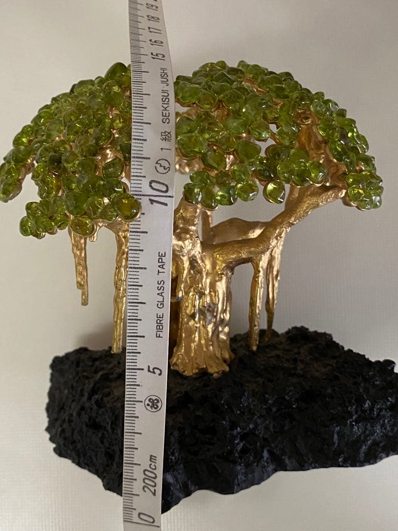 ハワイの宝石ペリドット　ハワイ島の神秘の宝石の木　ペリドットの木　モンキーポッド