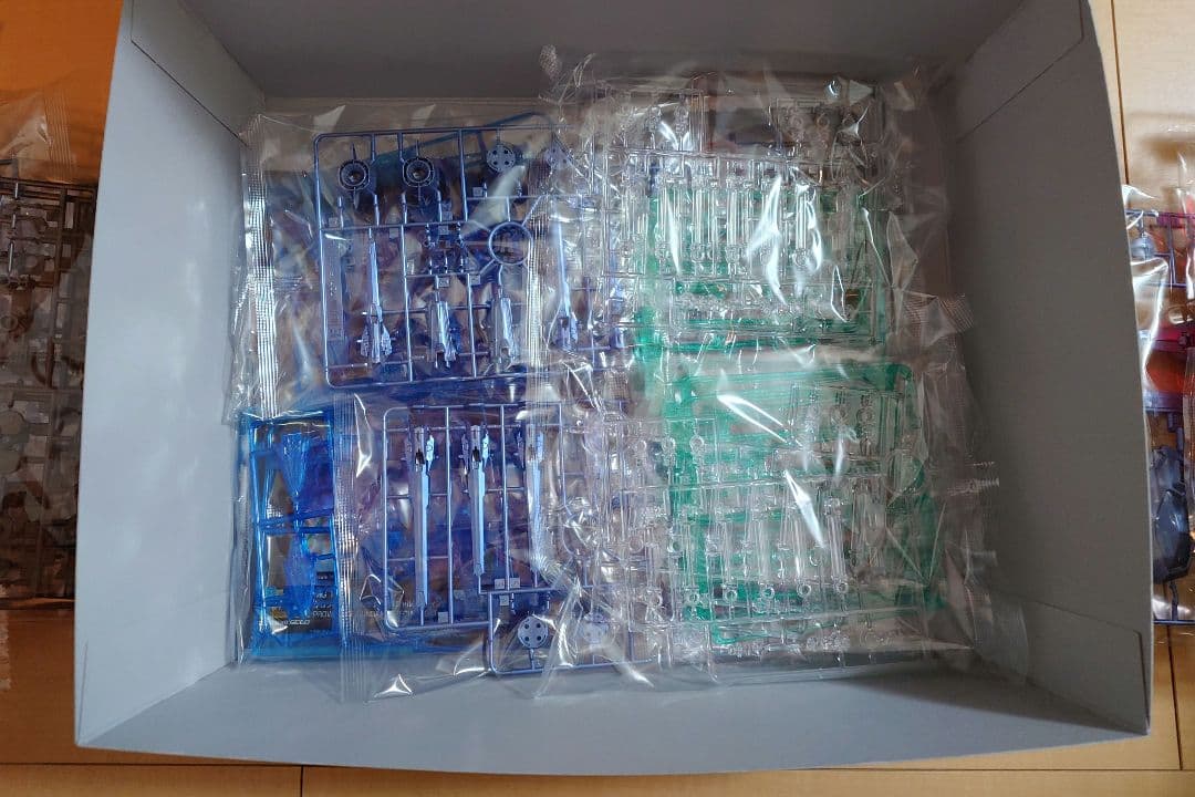 ＭＧ 1/100 プロヴィデンスガンダム [スペシャルコーティング]