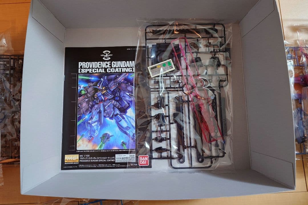 ＭＧ 1/100 プロヴィデンスガンダム [スペシャルコーティング]