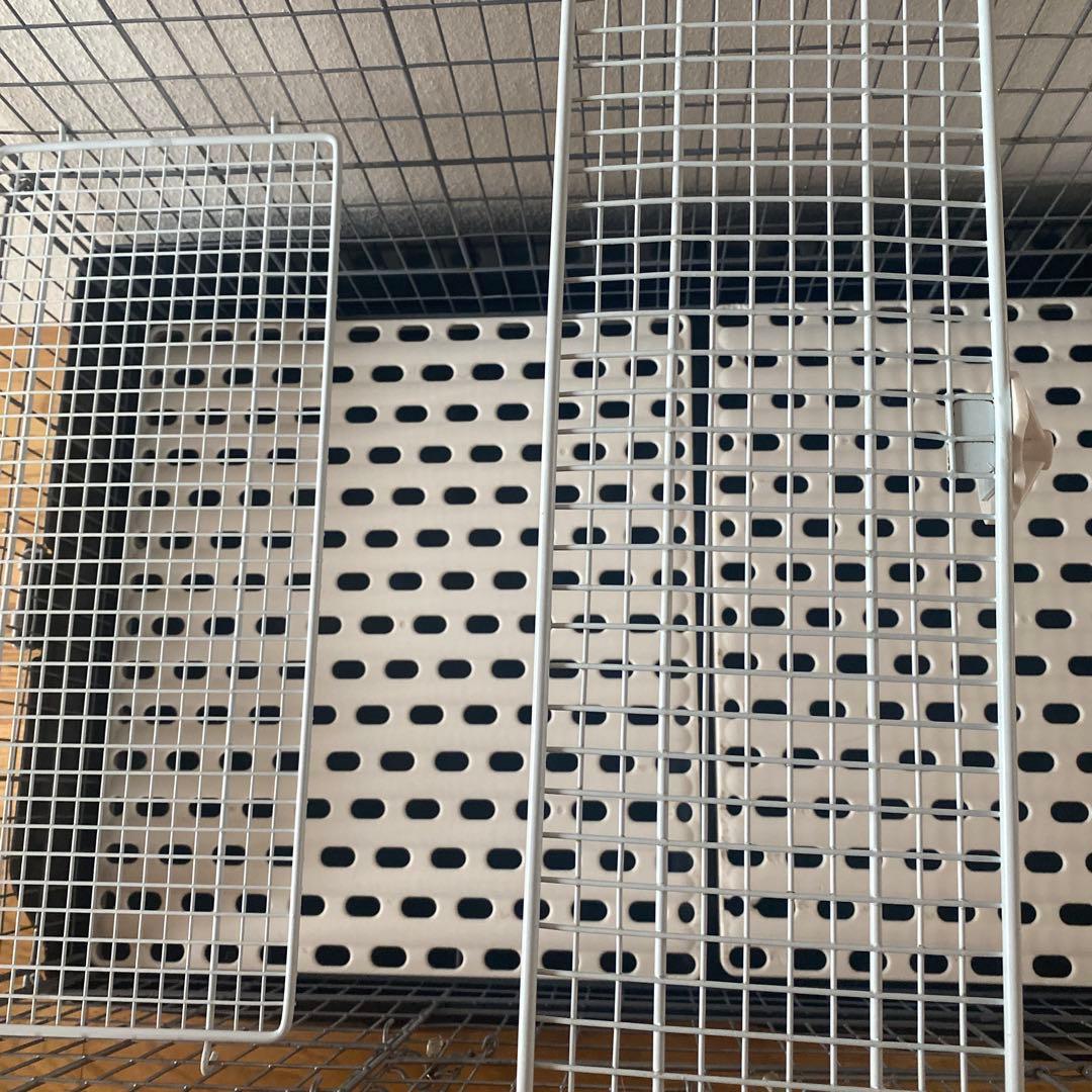 SANKO サンコー　イージーホーム８０ハイ　デグー