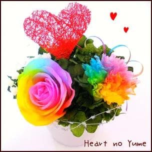 【高級プリザーブドフラワー】レインボーローズ＆カーネーション ハートアレンジ