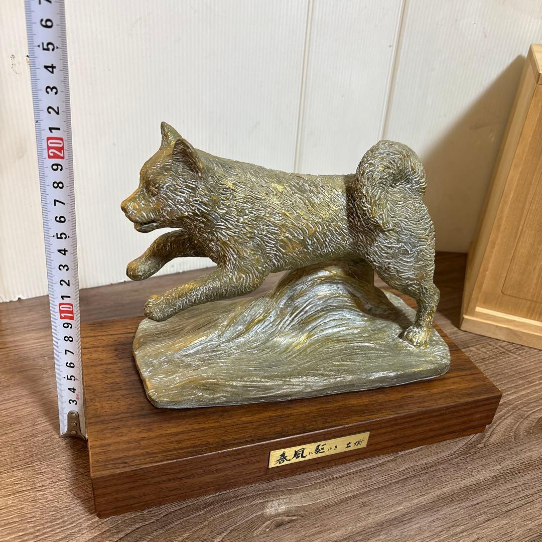 春風に駆ける　有名人 富永直樹(作)