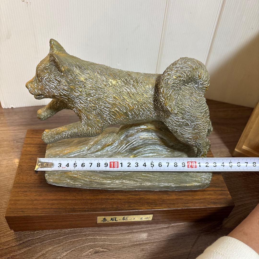 春風に駆ける　有名人 富永直樹(作)