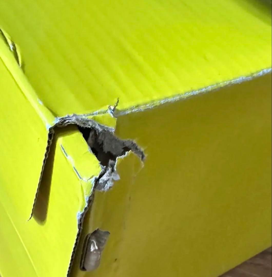 OnitsukaTiger DENTIGRE LS デンティグレエルエス25cm