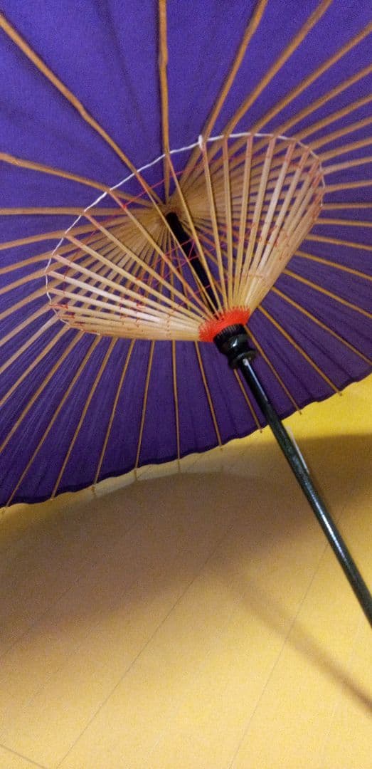 蛇の目傘、和傘