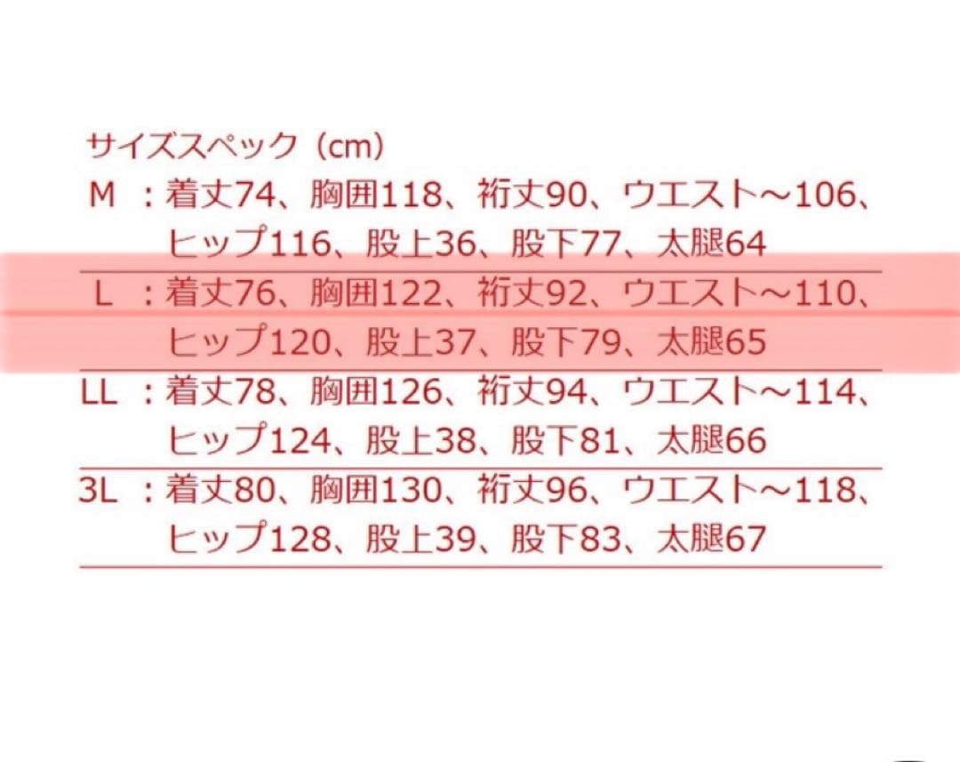マズメ　mazume コアオールウェザースーツ フラッグシップモデル