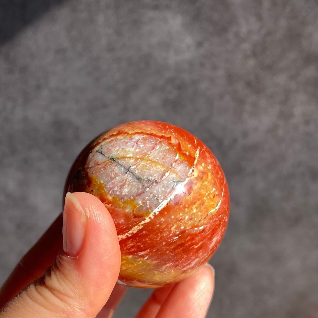 ペトリファイドウッド スフィア