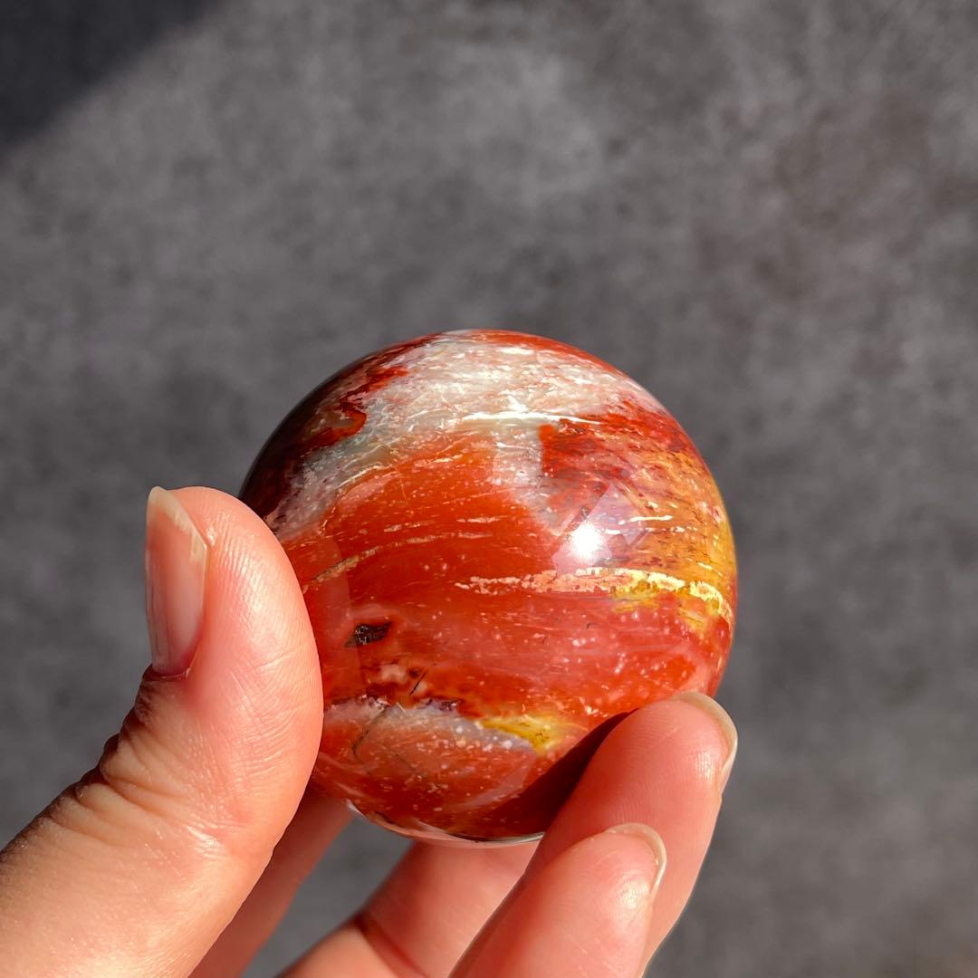 ペトリファイドウッド スフィア