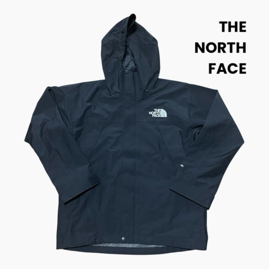 THE NORTH FACE NP62510 マウンテンパーカー ゴアテックス