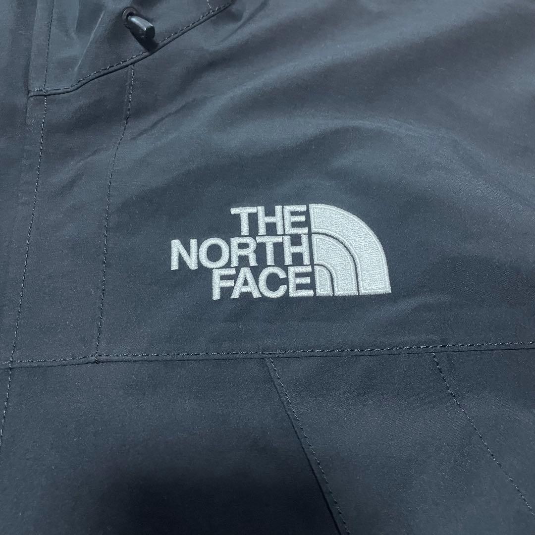 THE NORTH FACE NP62510 マウンテンパーカー ゴアテックス
