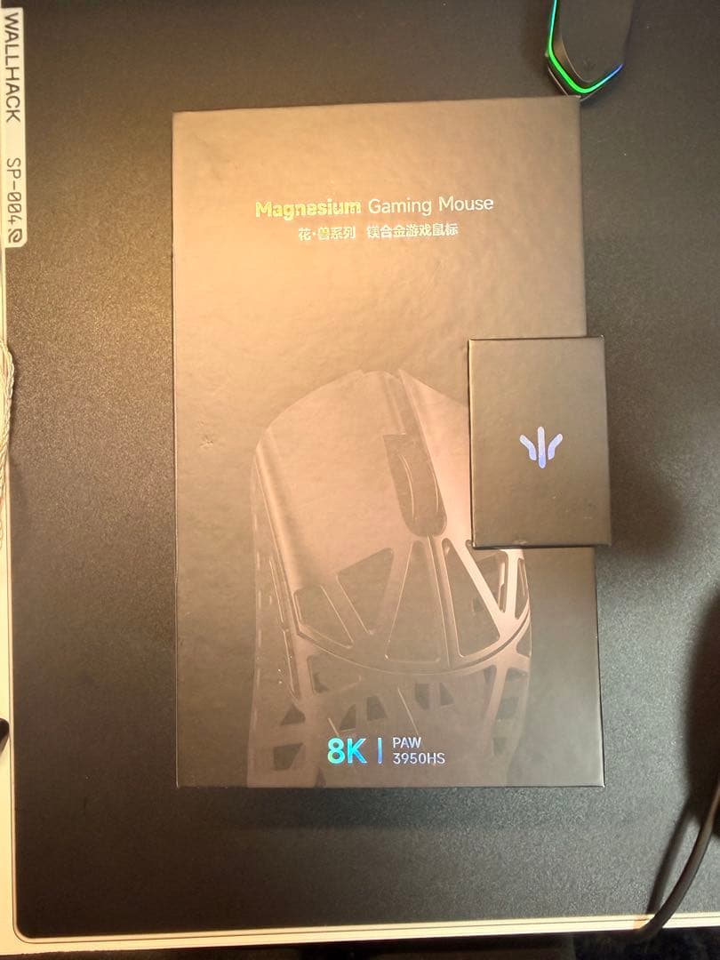 WLMOUSE BeastX Pro black サイド穴無し ジャンク