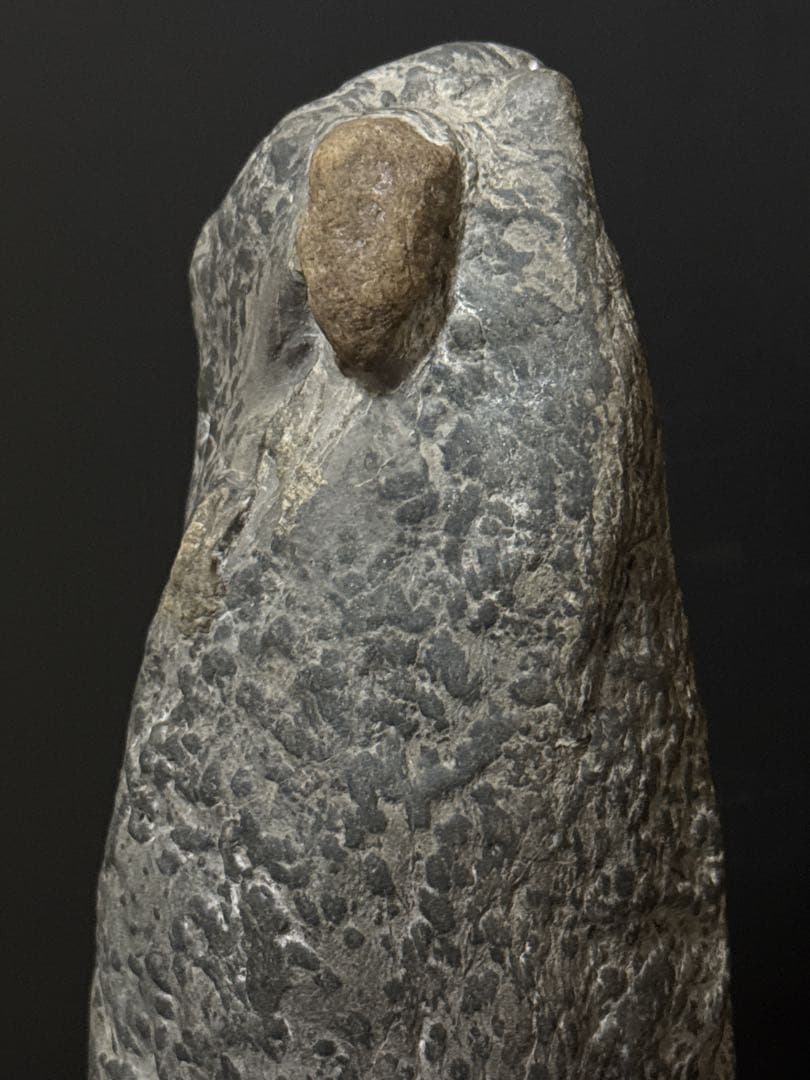 極上 瀬田石 水石 蟹肌 観音像型 瀬田川石 置物 唐木台付 盆景 盆栽